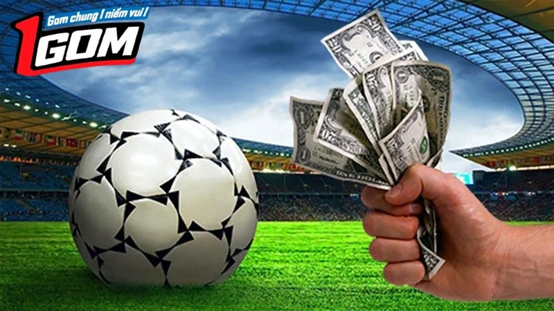 So Sánh 7M Và Nowgoal: Nên Dùng Cái Nào? Quyết định lựa chọn phụ thuộc nhu cầu, mong muốn mỗi người